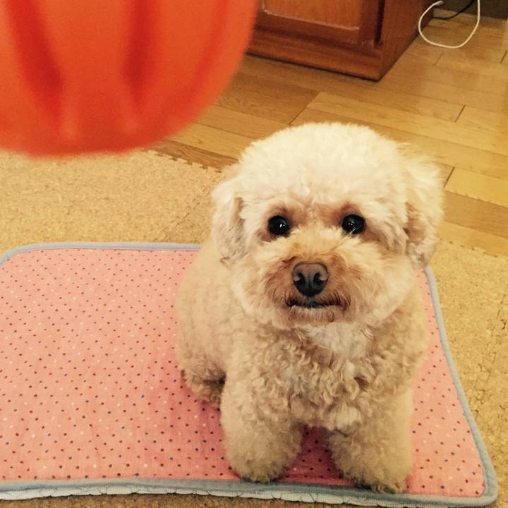 9bc13f20 3018 4684 af3b e792ad688d37