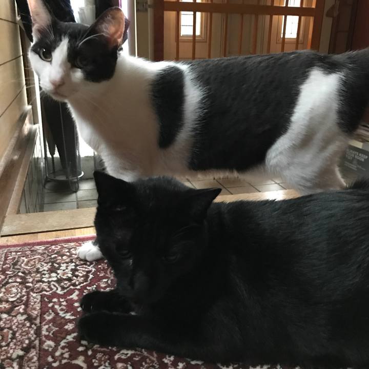 9bc1d4e0 d3f5 41d8 9ef3 e45b897eda0a