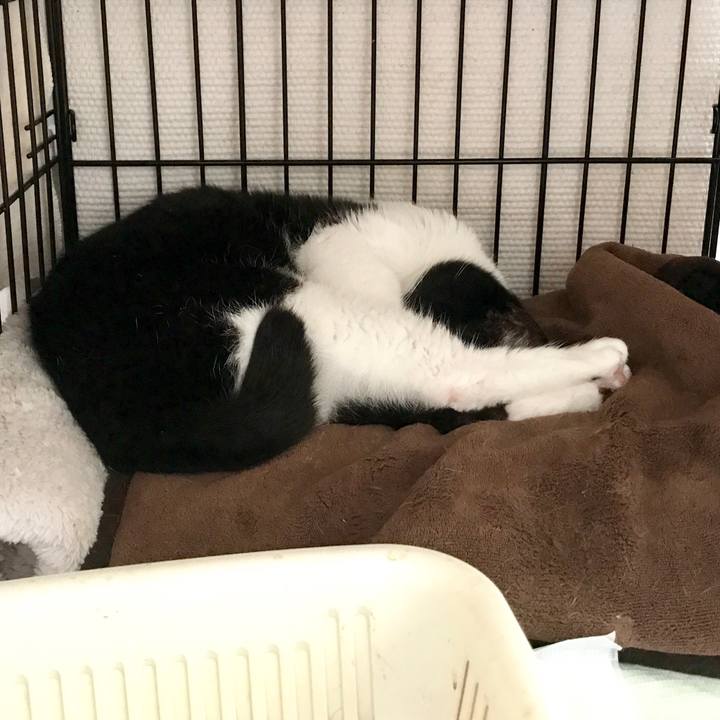 9bc1d6be a3f7 4ede 86c6 30aeb0d4f236