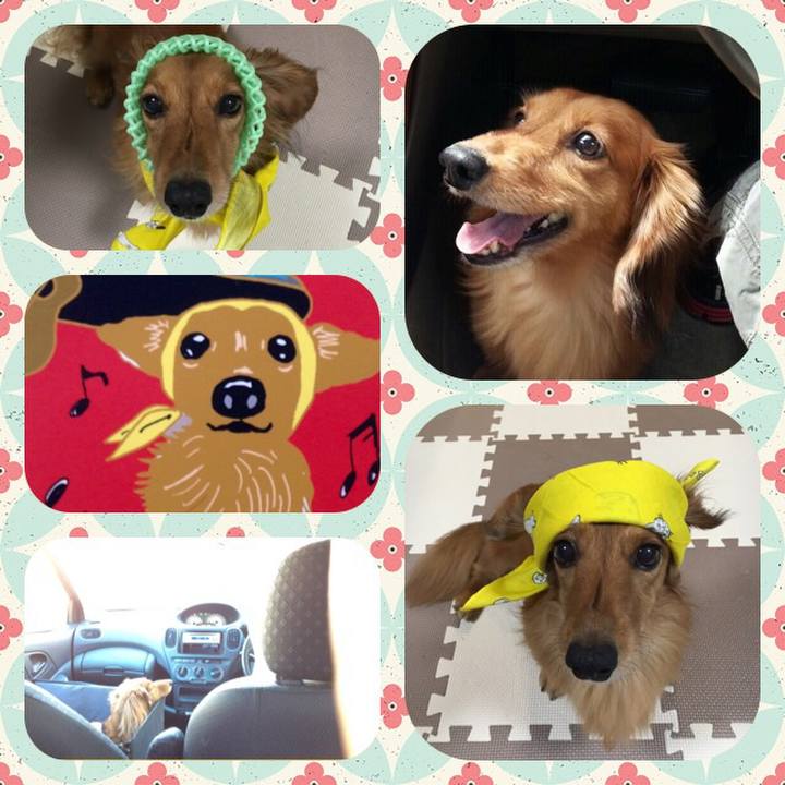 9bc1f56b cd50 4aee 8af7 b05a670590b0