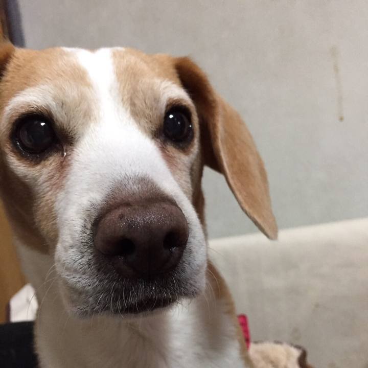 9bc1f9de be9a 4918 8e1d 4364ad969ec3