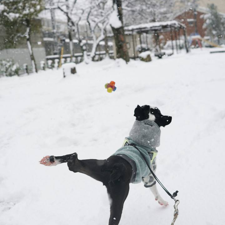 9bc2523b b7aa 491e 9c0d f317aaa98a5d