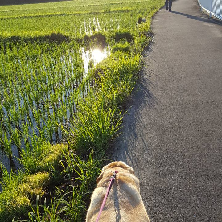 9bc25437 d8ec 412b 9141 ee47bf818dbe