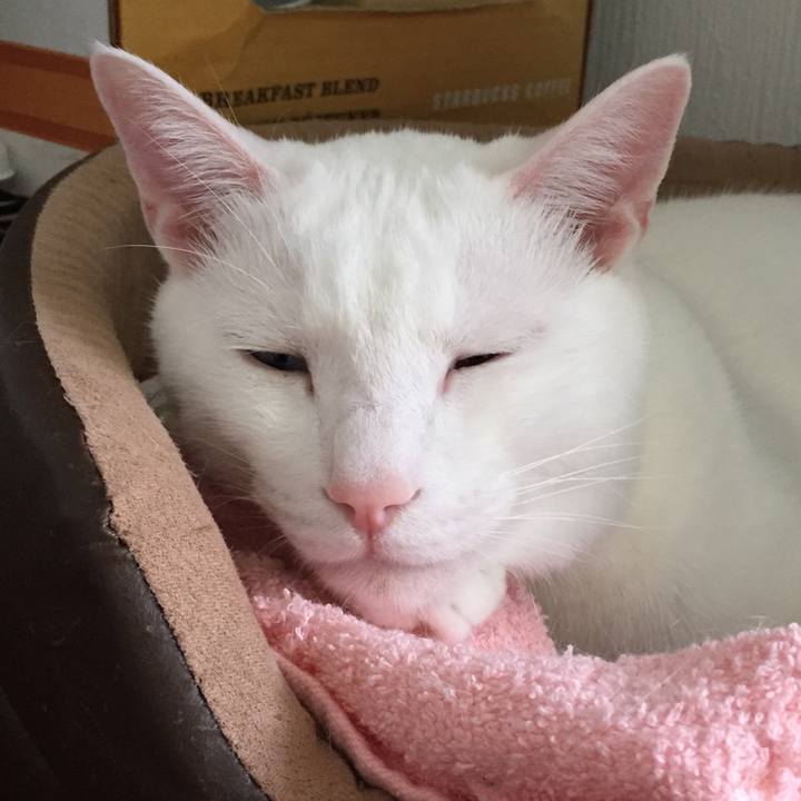 9bc31513 0e7c 454d a3f2 5c25ca95a32e