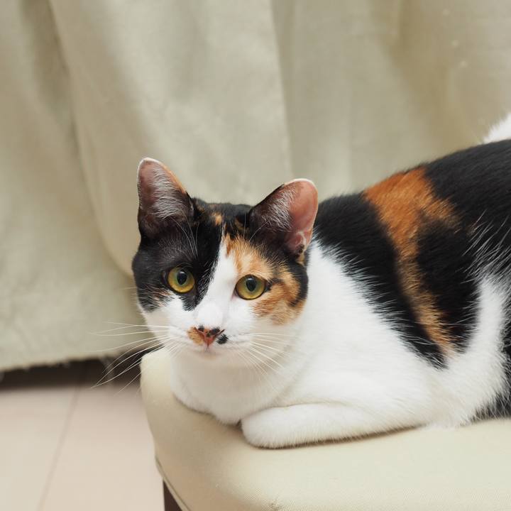 9bc408fa e90b 46e5 bed5 127c64c7d32c