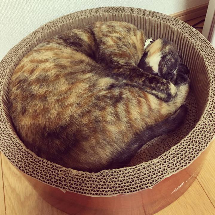 9bc4dffc 103a 4eaf a311 814dda4f05c4