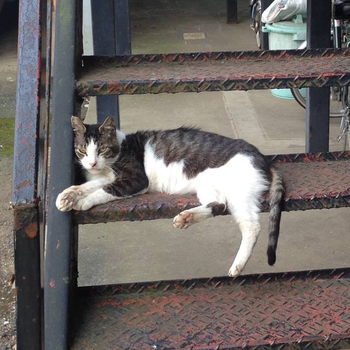 9bc56b25 a2f4 4cef 8e5a b6e576105c4e