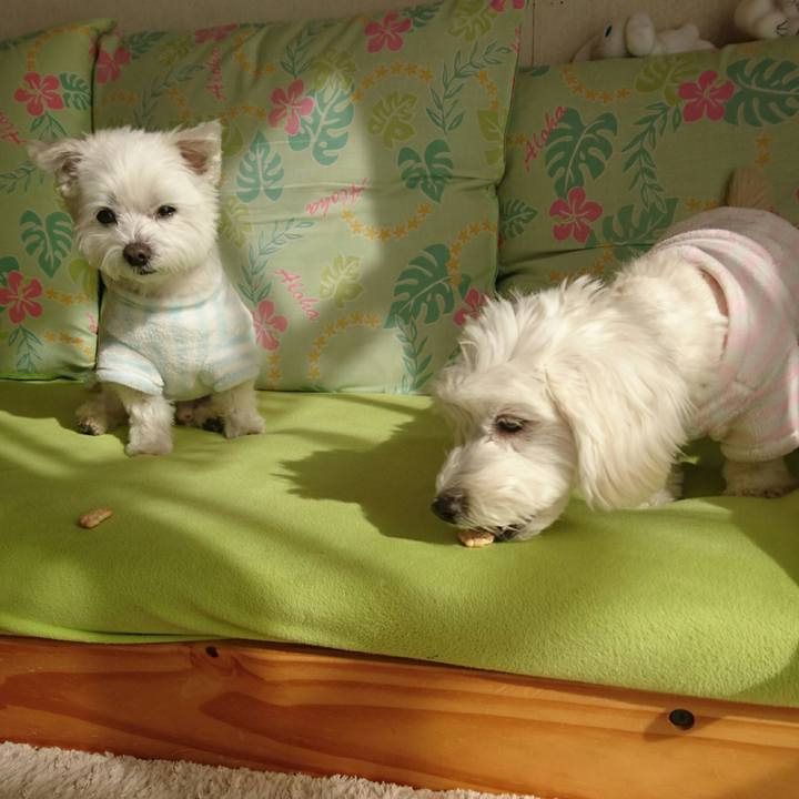 9bc62c4f 2631 4aec b827 ec15afa0af00