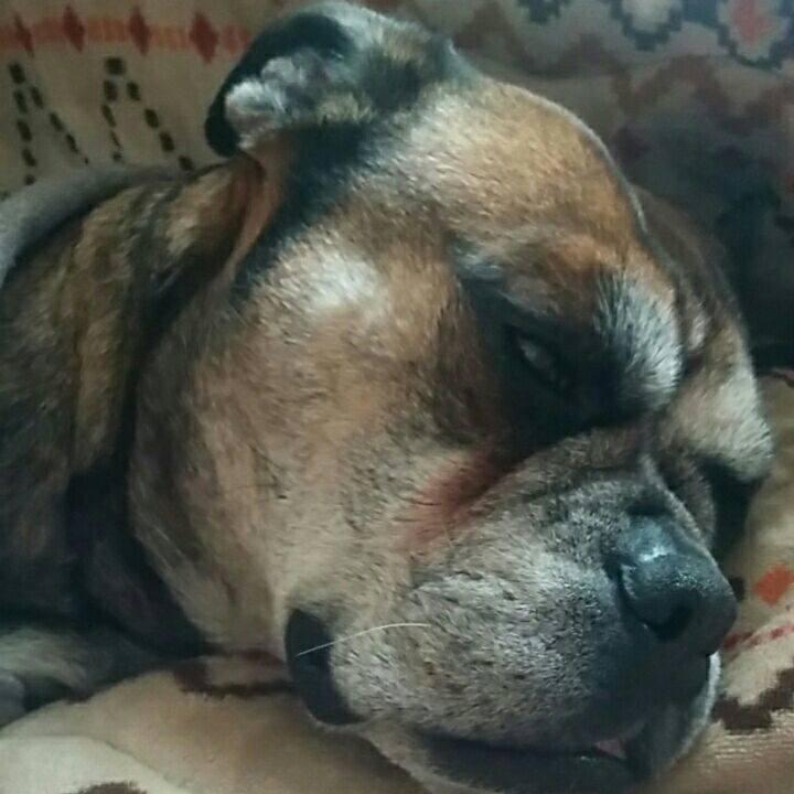 9bc6a08e 3e3a 4740 9813 d588b49adead