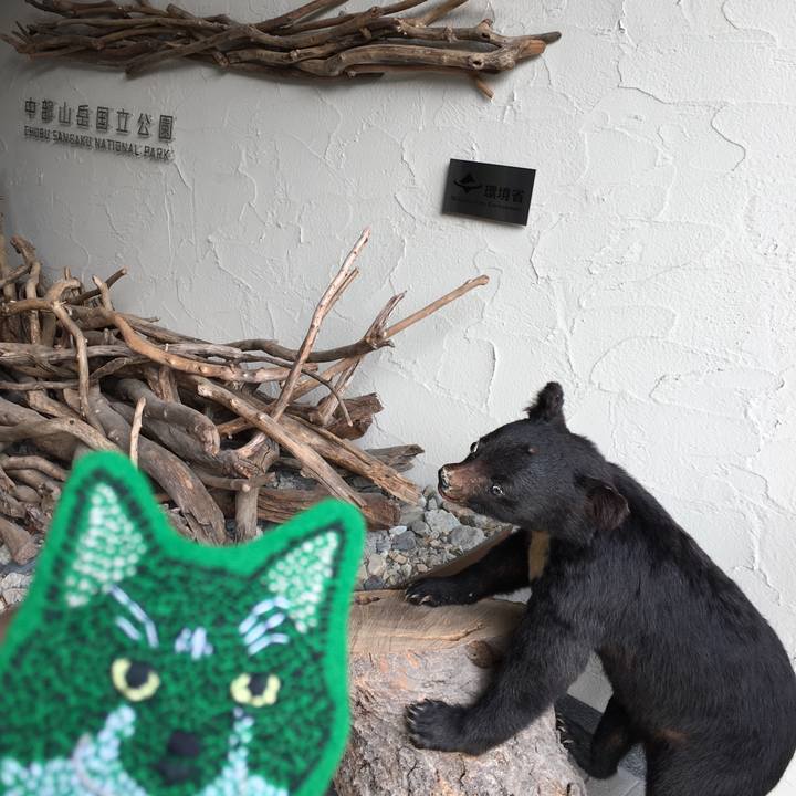 9bc6c53b c9bc 481f bc6a 7d73ff70b9f5