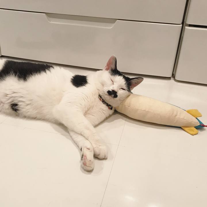 9bc6f599 11fd 4b9c 8447 1e6047674dfa