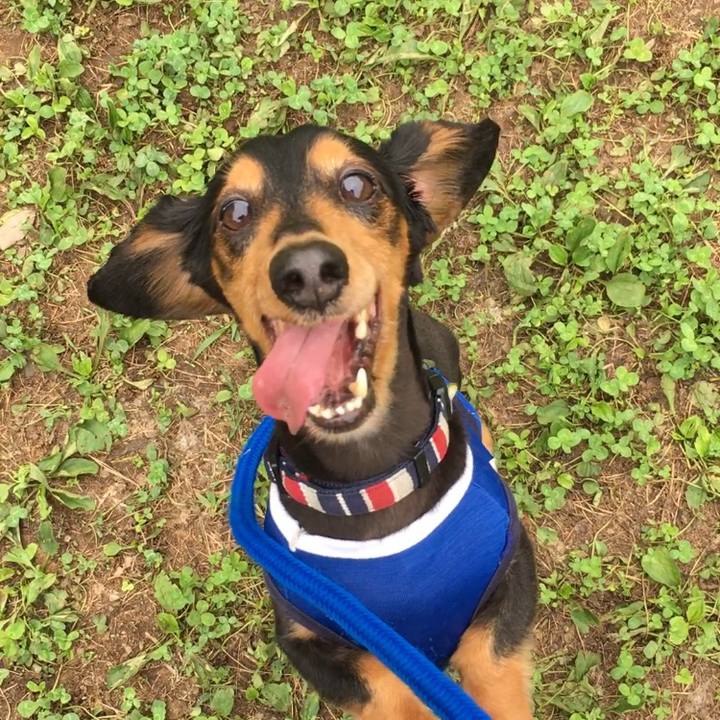 9bc6fdd9 8866 4534 aa82 1757d999dbec