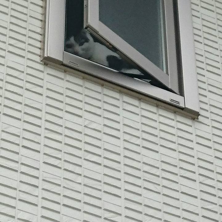 9bc7200c f4af 4113 a989 488b1de4ad31