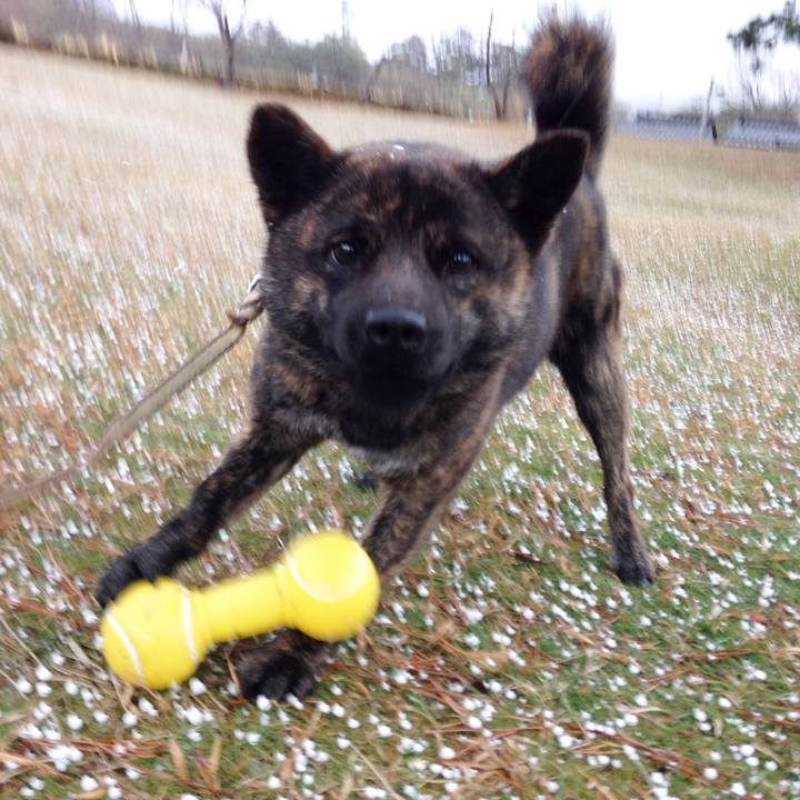 9bc72d54 2f91 4c0d a8cc 72aef459cbe4