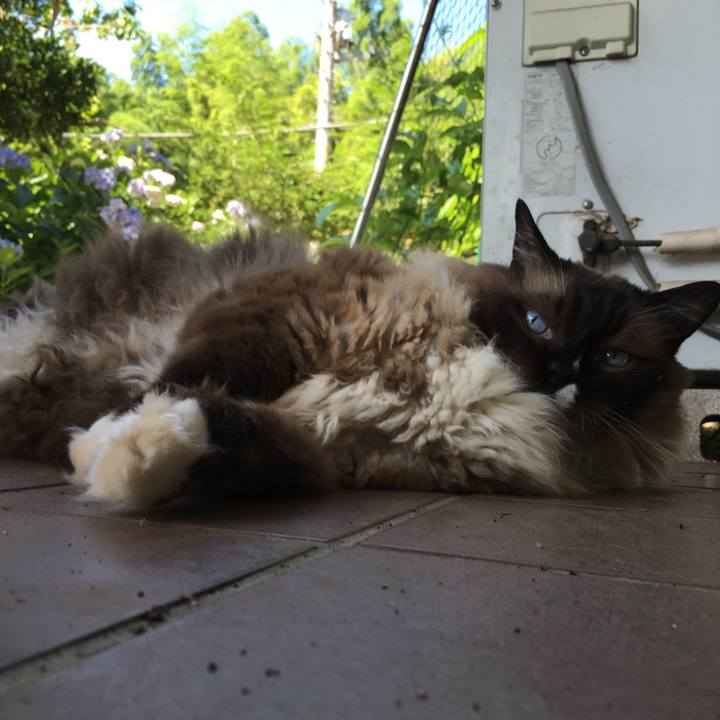 9bc75a8f 579a 491c 861e e80d2ac438e6