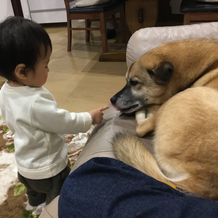 9bc7b112 abb7 4ebc ada7 b7bd129c2b00