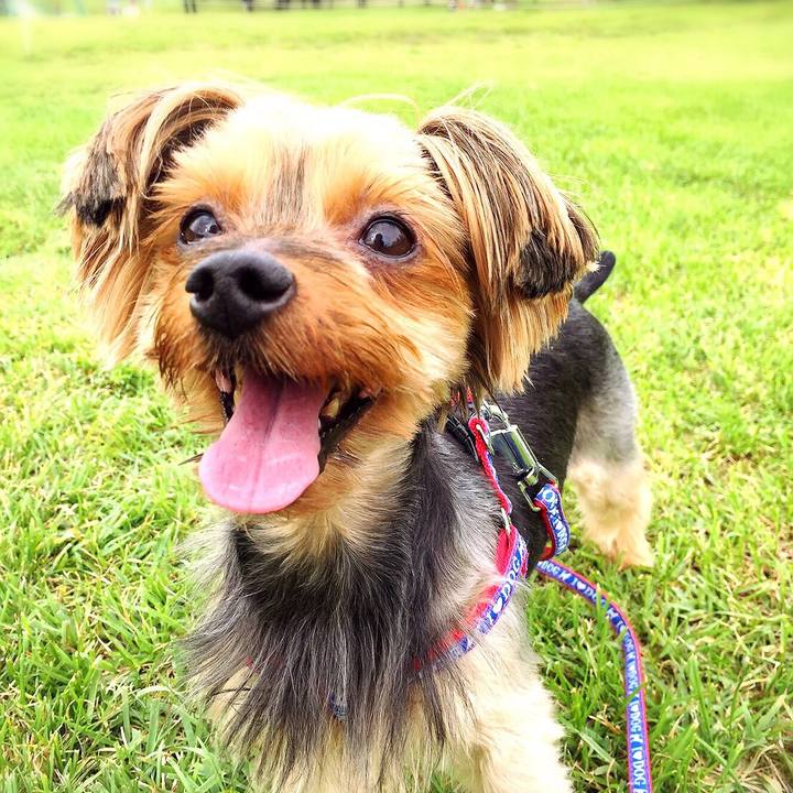 9bc834a6 f041 4e17 86b2 1bfc7b0296d3