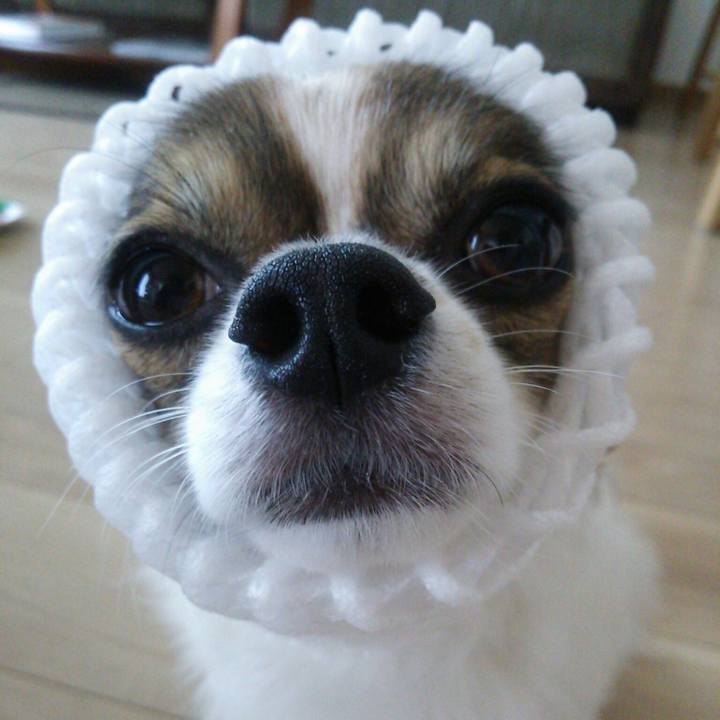 9bc886cb 845d 4f94 8fae 21507497c1c7