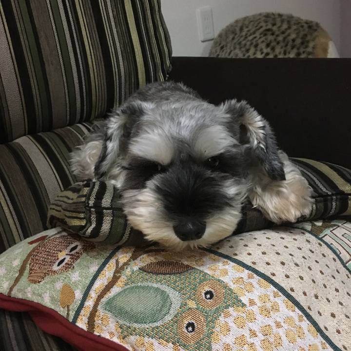 9bc8d024 068a 4161 a55d a4e7524391f7