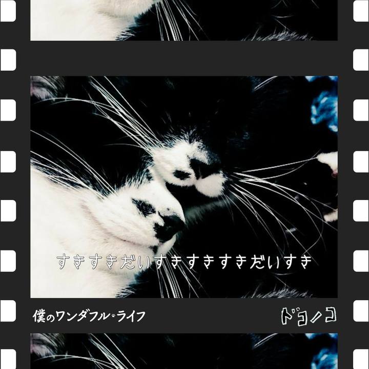 9bc8e315 906f 45d0 8dfa 5b932bef371c