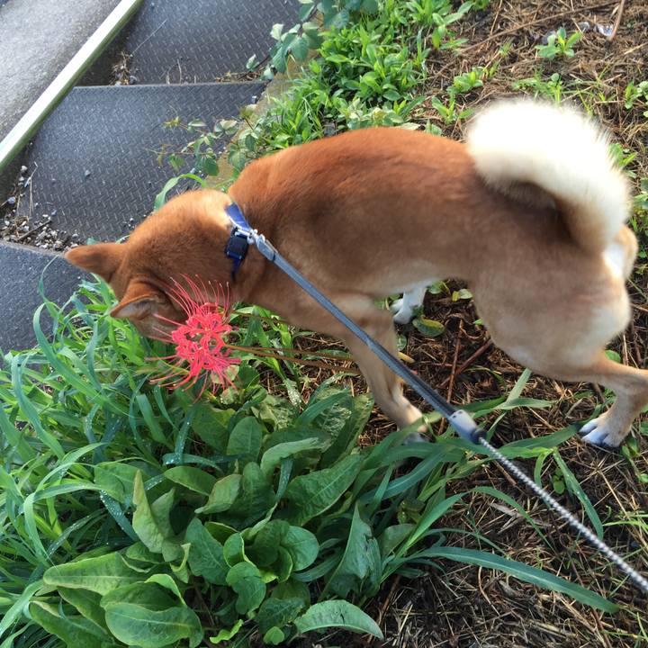 9bc8f33c abee 4f43 9dad 9b68e1a8af48