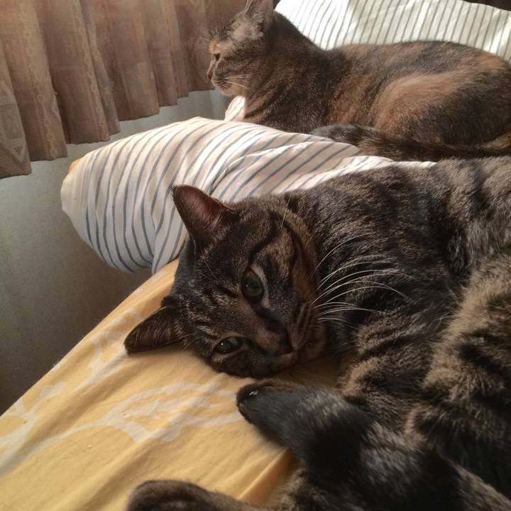 9bc8f45d 9b05 4664 b3d1 34268279b6d7