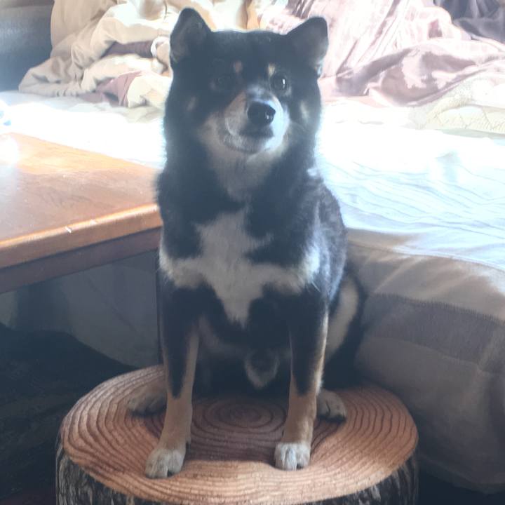 9bc9887d b87b 471f b7c1 7df072b41779