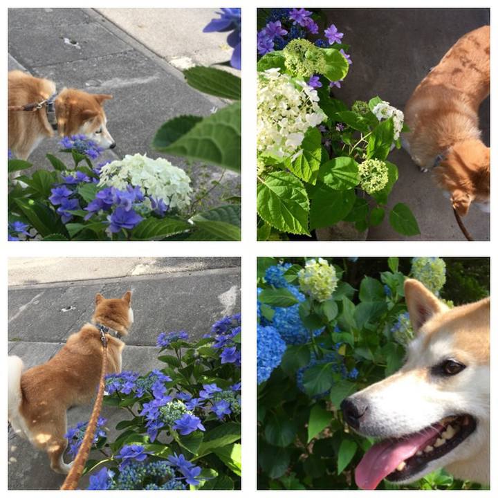 9bca9c9c b6c1 4309 a6ff f5f4fc70f792