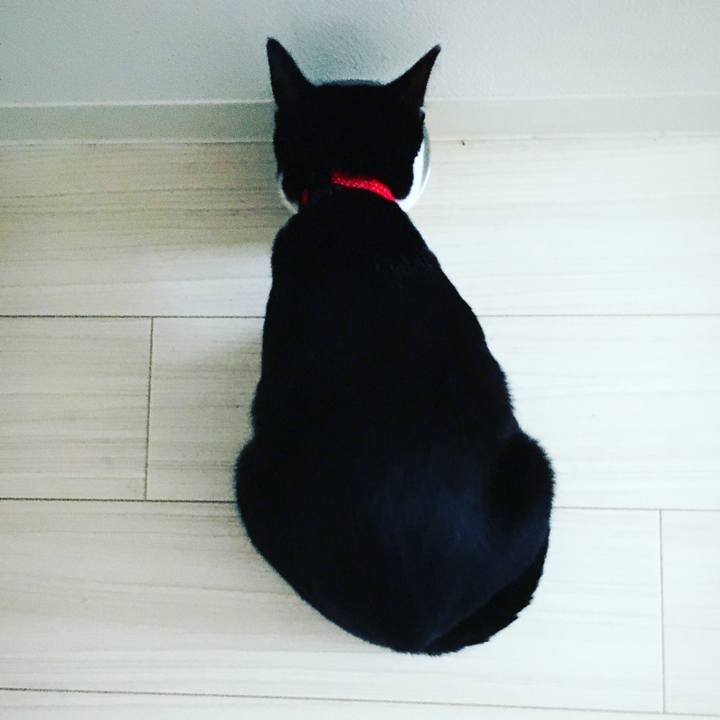 9bcae724 53d8 4065 9c7b 31678096feb2