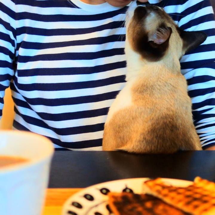 9bcb14ea ca5e 4210 9e8e e57a8c506acd