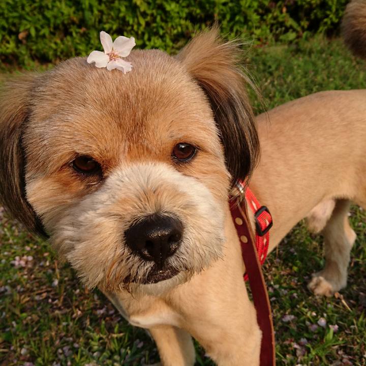 9bcb28e0 d295 4bf3 9b98 8106af715f14