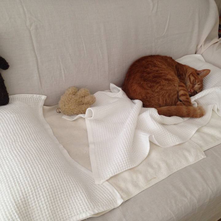 9bcb6c8d f951 4ddb 8a6c 1d64f24e9dc5