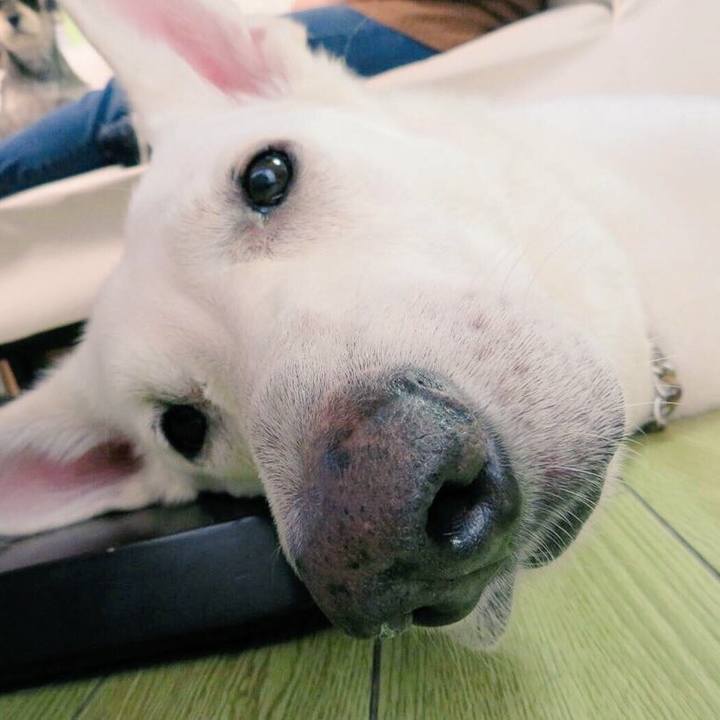 9bcb7cee a996 4cac 8250 03398b71261b