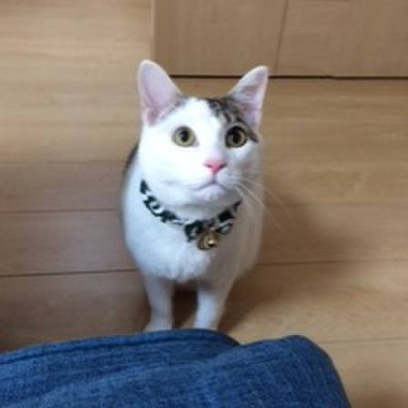 9bccbd9e c319 4c8f a910 c6cd37b33b34