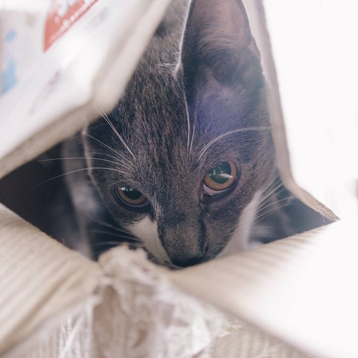 9bcd6155 a729 466f b3b9 08eca9cf62b1