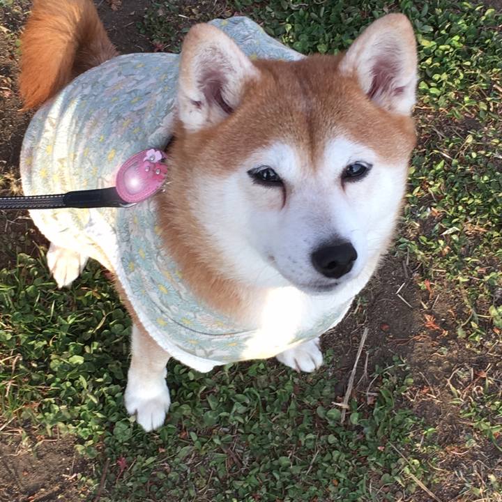 9bcd67c4 5ffc 43ab 8c3b 674ff3ebdb6c