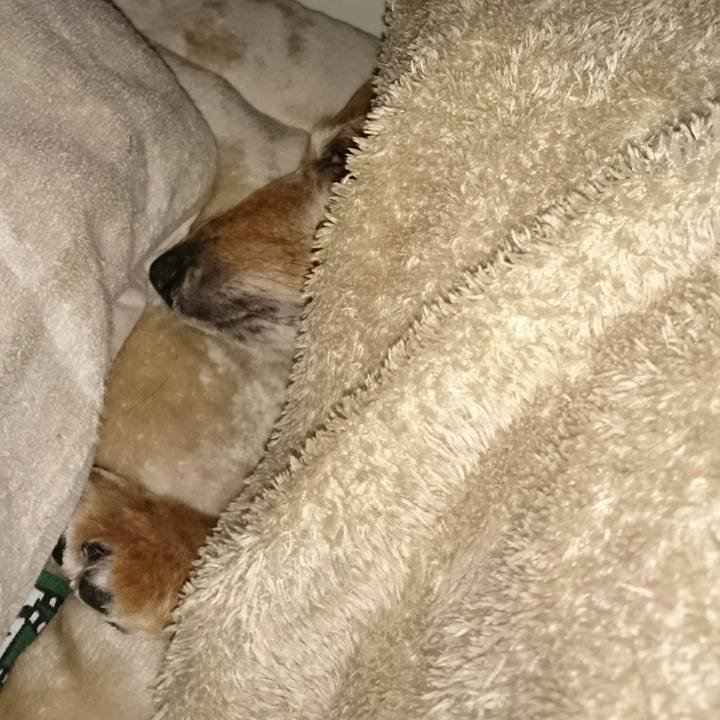 9bcf1ff2 f28a 4eec a669 4e0c0979ac25