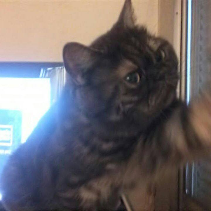 9bcf2391 6e46 42f2 be71 4be546e80202