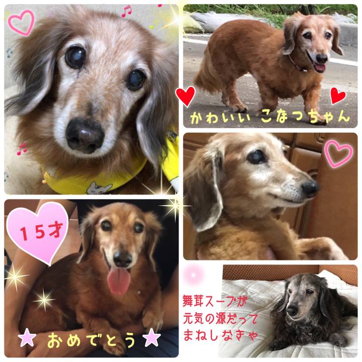 9bcf861f f0ff 46bc 956f 265a6f205964