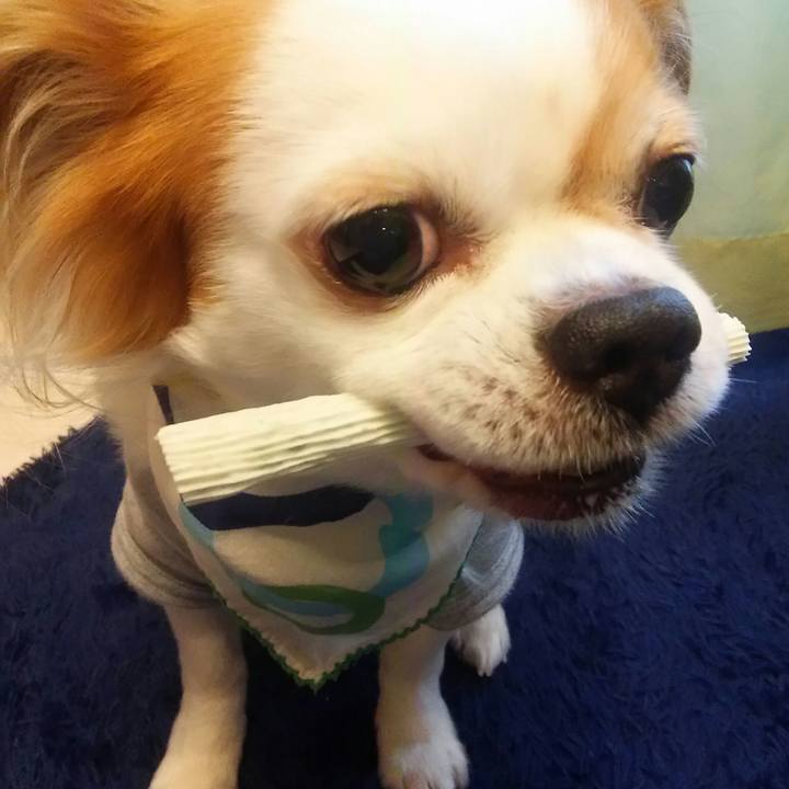 9bcf9faf b2e2 4533 88ae c477ad7e1968