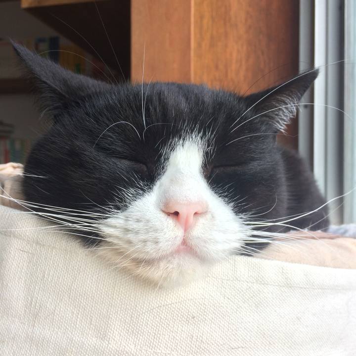 9bcfb2ca 92e0 4164 bea3 7bf41808da97