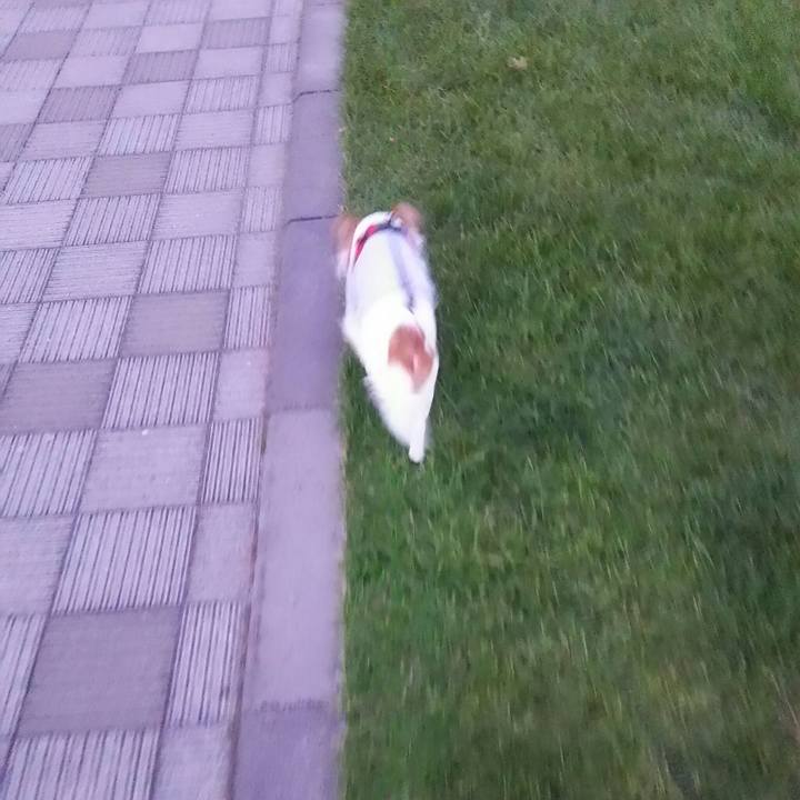 9bcfba8a c968 4b23 b7bc ef4cbadd56ed