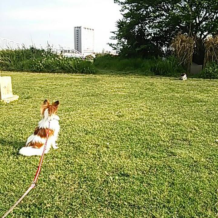 9bcfe1bd bb2c 4efd 94d8 906a33b2ebe1