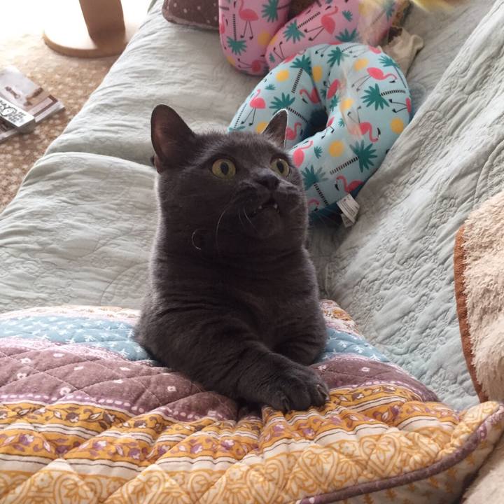 9bd014f6 3344 4af1 92ec 916c6ff793c7