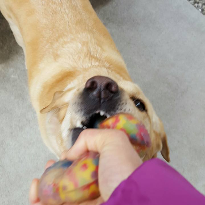 9bd06cbd 6bcb 42e7 af0a 4f2576b0e0f5