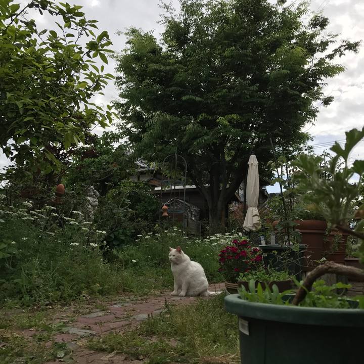 9bd156c0 e1fe 448b 989d edf314f46a34