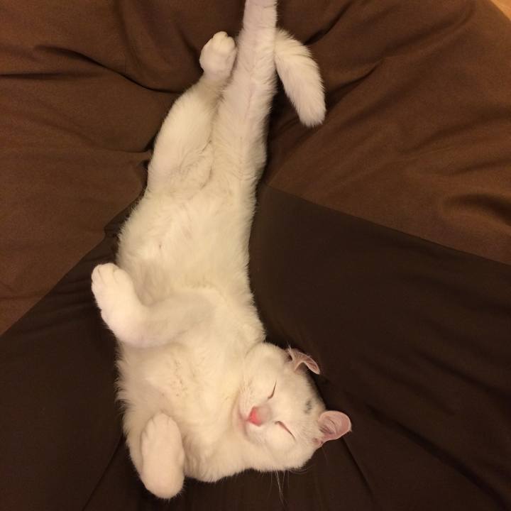 9bd3a241 71d4 4a5c 98db f74a0154471f