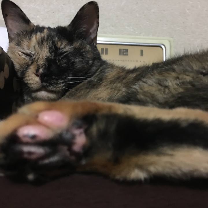 9bd3c35f 3170 4427 b140 2c5d988ff12d