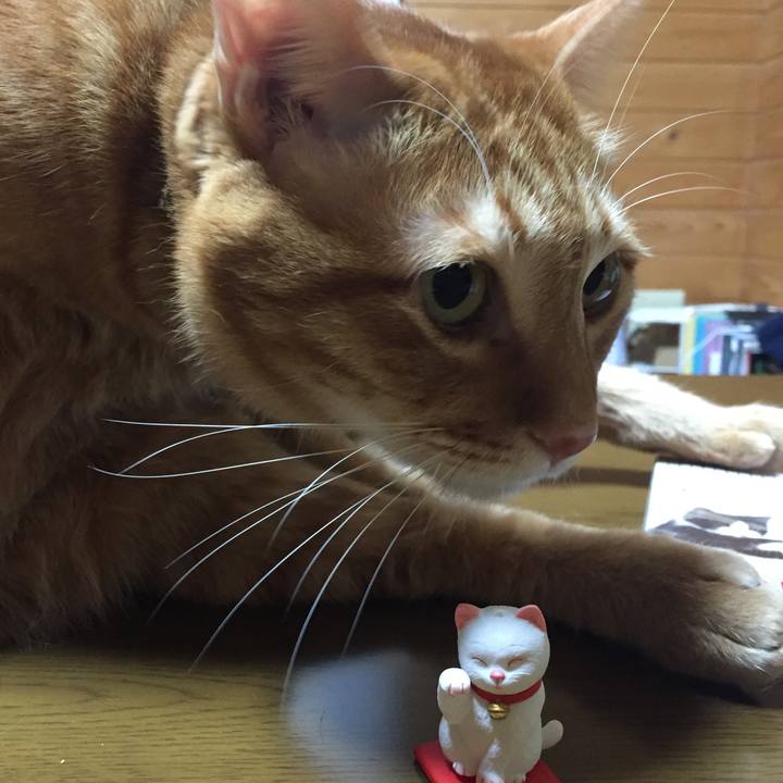 9bd3e4b7 9ac0 4d91 bdd8 da415e2e0af7