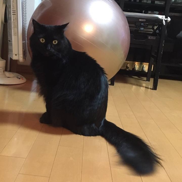 9bd4d942 dfeb 4dd4 9ddb 1775f5963fd3